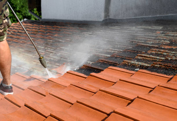 Best Residential Pressure Washing Services  in Roseland, FL