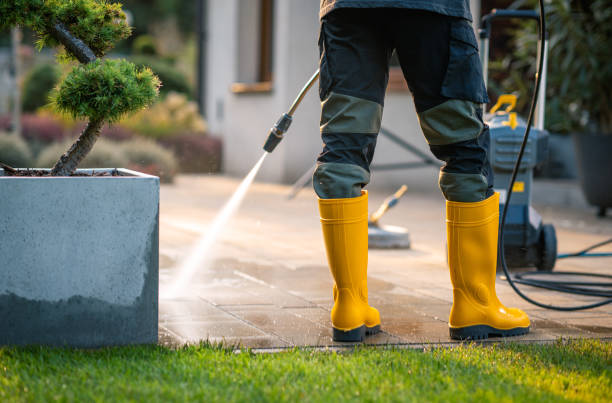 Best Pressure Washing Company Near Me  in Roseland, FL